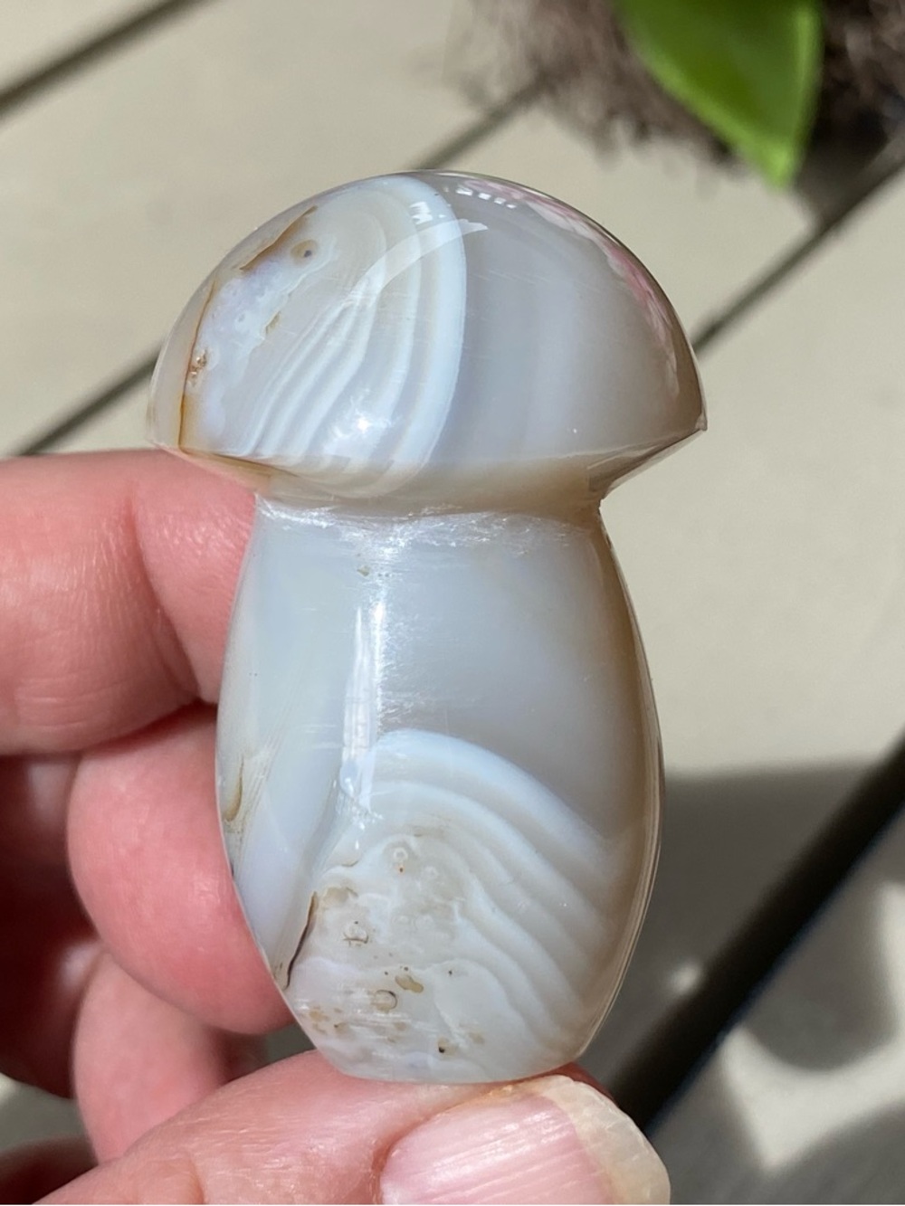 Crystal Mushroom Bundle - Picture 14 of 16